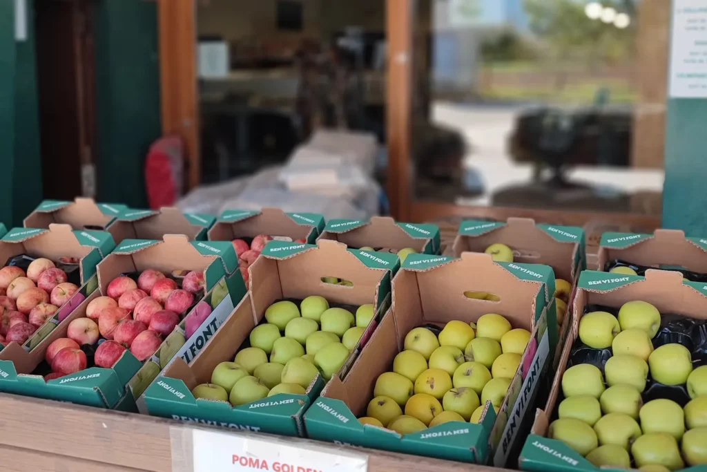 Productes de fruita local amb safates de pomes exposades per a la venda.